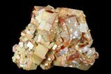 Red & Brown Vanadinite Crystal Cluster - Morocco #117729-1